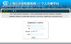 上海社保查询个人账户